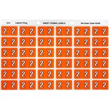 AVERY 43342 LATERAL FILE LABEL SIDE TAB YEAR CODE 2 25 X 38MM ORANGE PACK 180